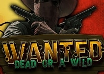 Banner per il gioco slot Wanted Dead or Wild con tema wild west e fuorilegge.